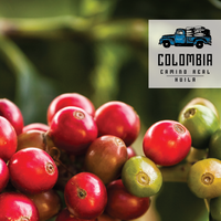 Camino Real SWP Decaf