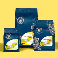 Chito Community Blend Washed