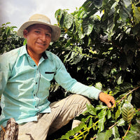 Caranavi Copacabana Washed