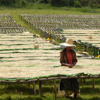 Duromina Lot #3 Organic Washed