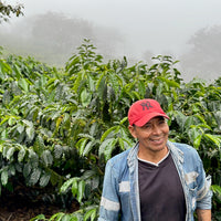 Fausto Romo Sidra Washed