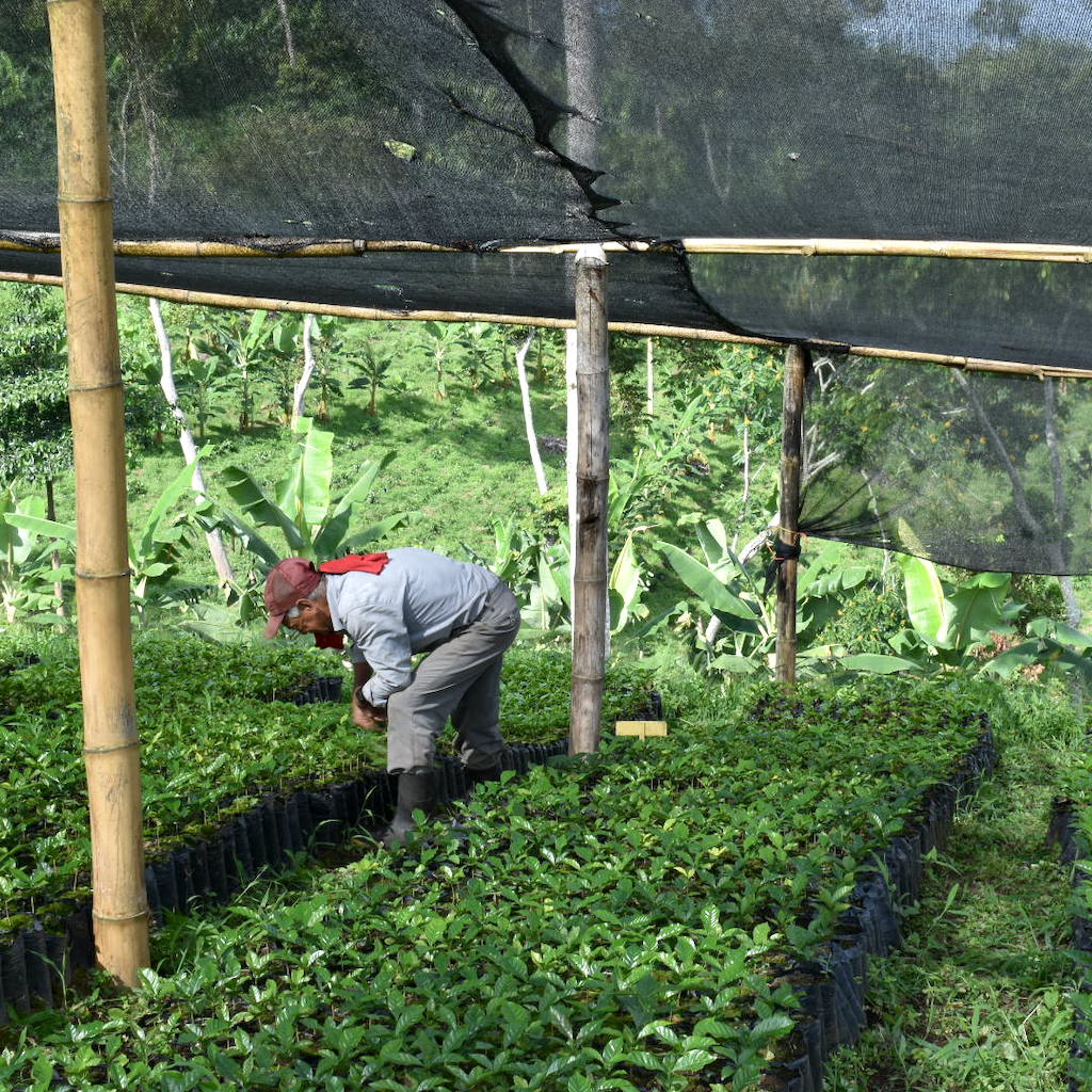 ペタペータペタ Amazon.com: Caltric Brake Pads Compatible with Kawasaki Zx900