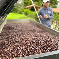 Villa Loyola Carbonic Maceration