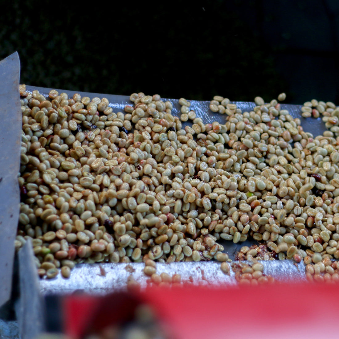 Peru SWP Decaf