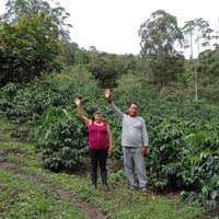 Rosa Mego Huaman Extended Ferment