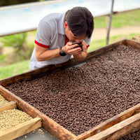 Hacienda La Papaya Farm Box