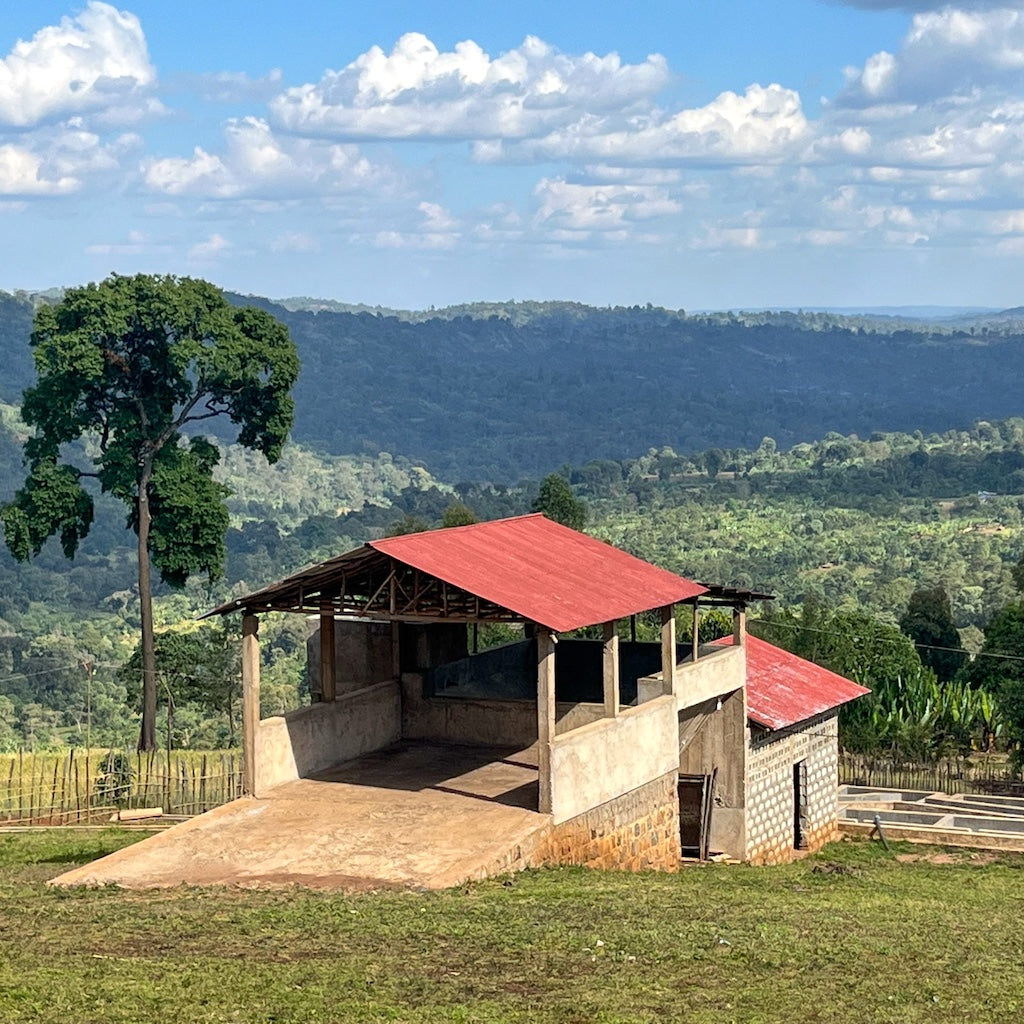 Tagel Alemayehu Hambela Natural