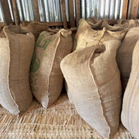 Tariku Kare Bensa Natural