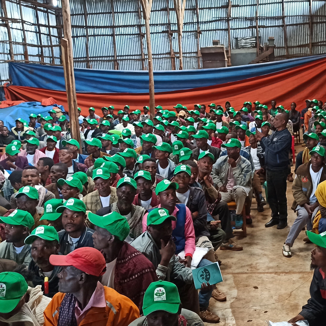 Tero Outgrowers Dimtu Shakiso Washed