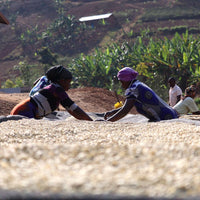 Kinini Village Washed