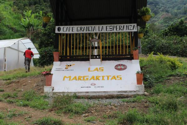Las Margaritas Gesha Honey