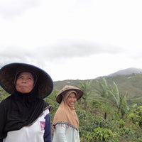 Kerinci Labah Rimbo Honey