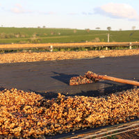 Pulped Natural
