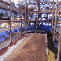 Mustefa Natural