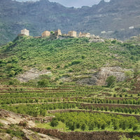 Haraaz Red / Mahal Aqeeq ul Station Natural