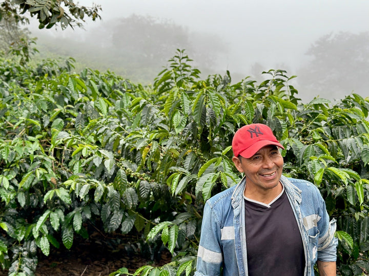 Ecuador | Fausto Romo, Finca Carolina