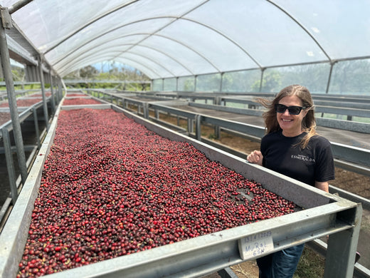 Panama | The Peterson Family, Hacienda La Esmeralda