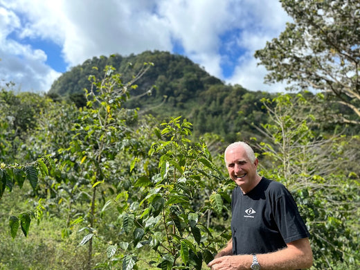 Panama | Stefan Muller, Don Benjie Estate + Hacienda Bajo Mono