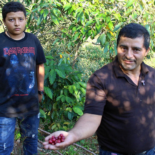 Photo of Los Chelazos Red Honey