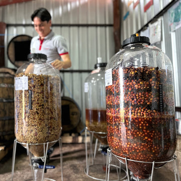 Typica Anaerobic Natural