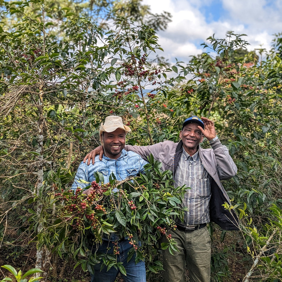 Basha Bekele Natural