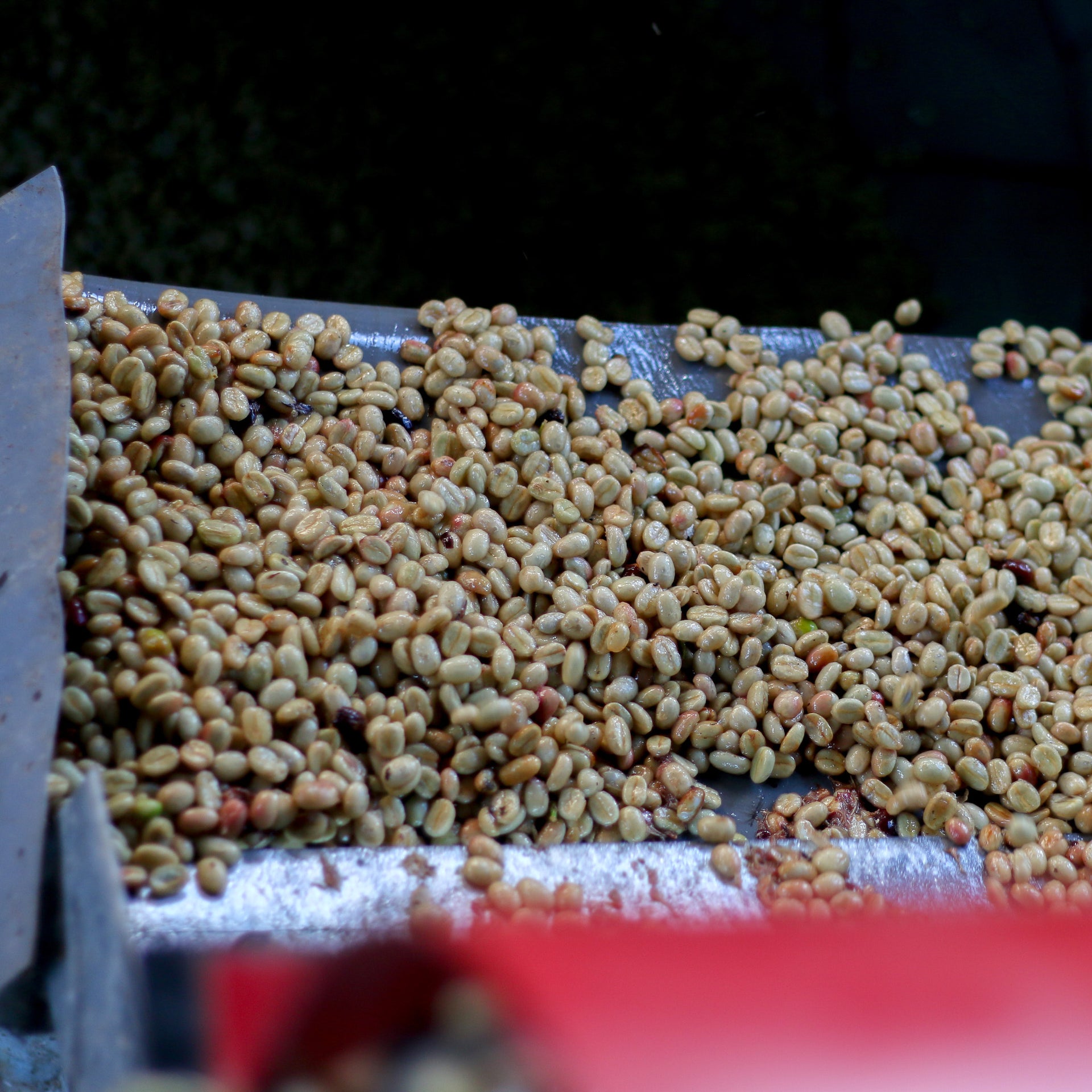 Photo of Lima MWP Decaf