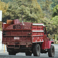 El Vapor AAA Natural