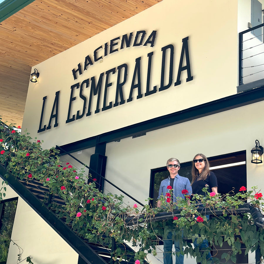 Noria #2 Gesha Natural