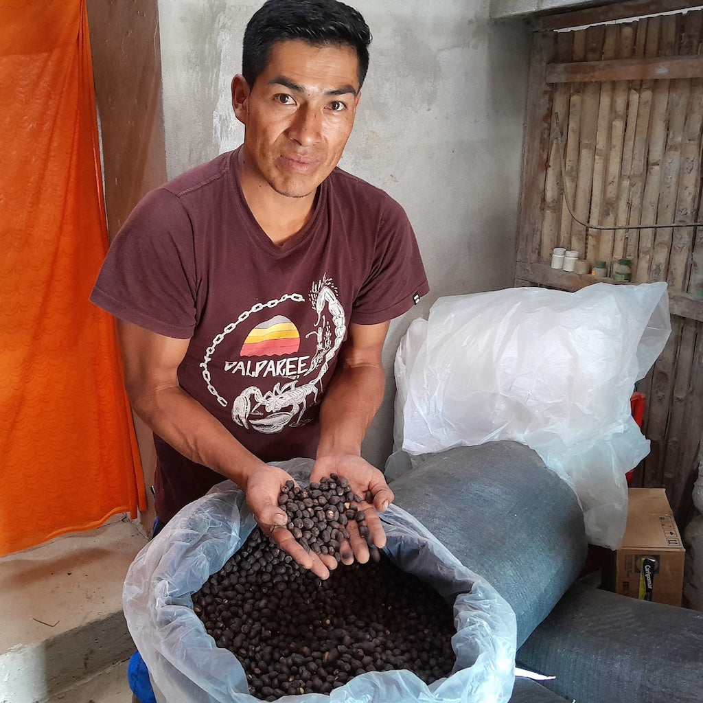 Photo of Fidel Huancas Bourbon AAA