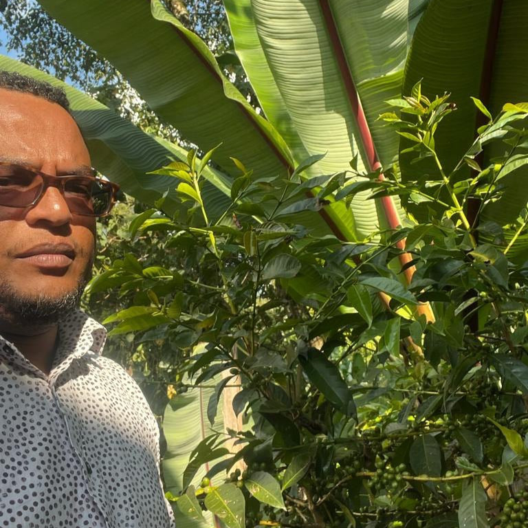 Habtamu Fikadu Aga stands near a coffee tree.