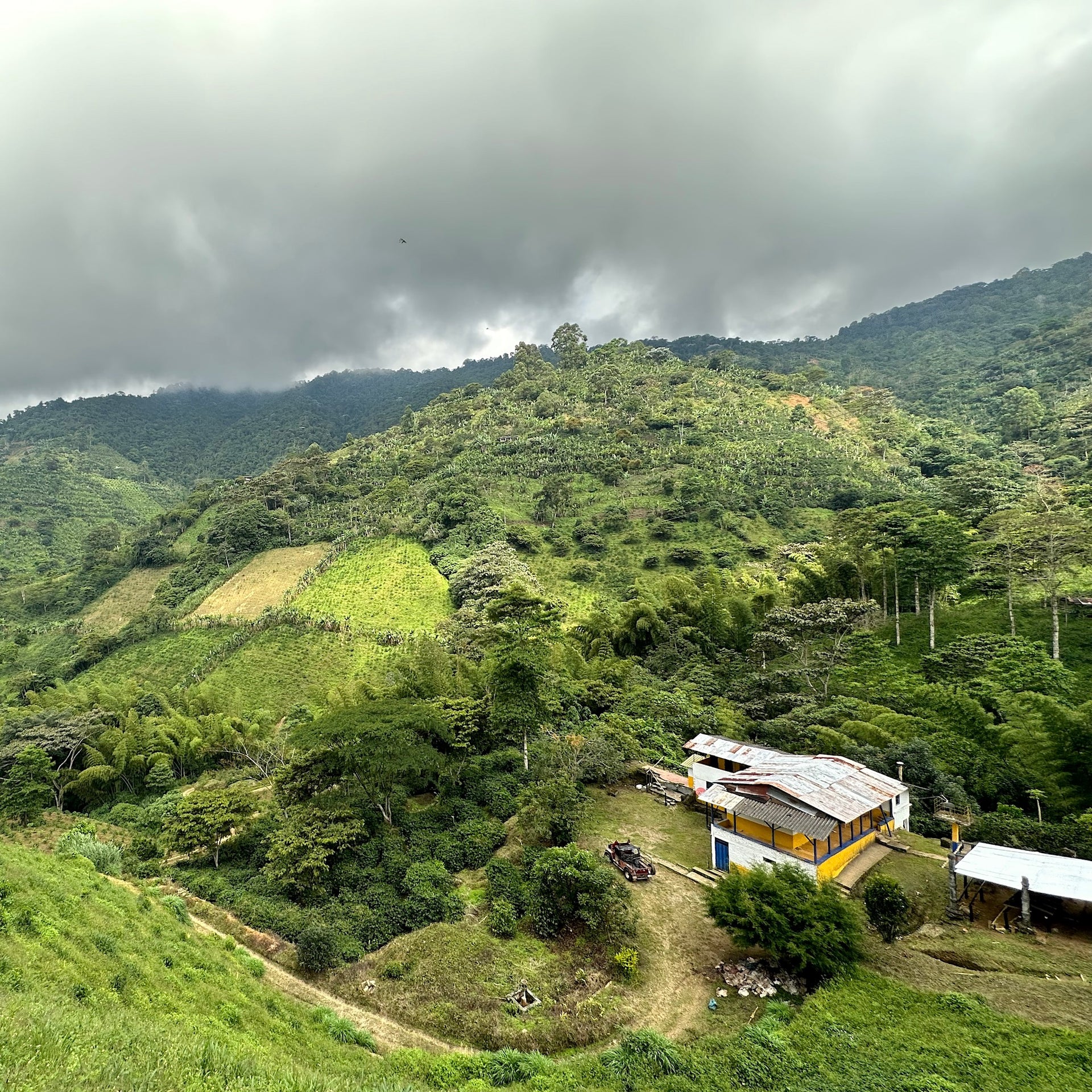 Photo of Las Margaritas Gesha Natural