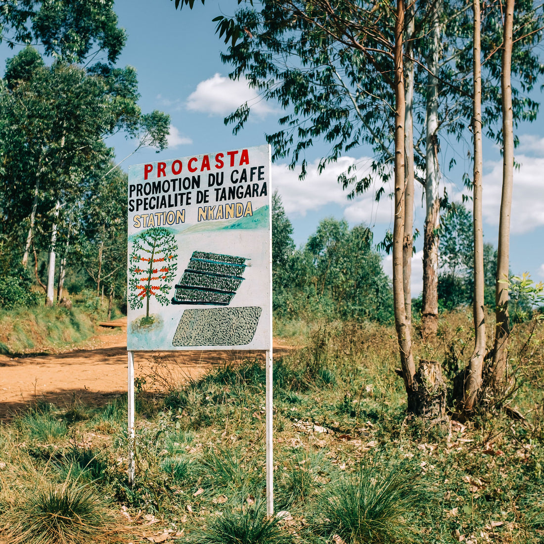 Nkanda Washing Station Cumba 