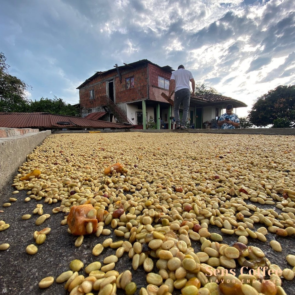 Osmotic Dehydration Peach Co-Ferment