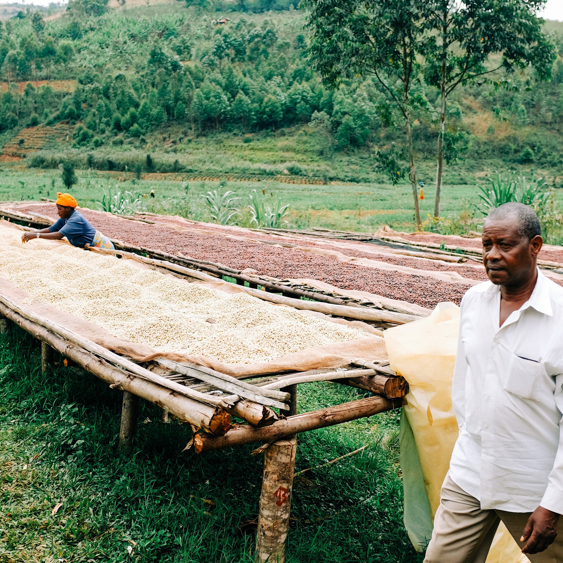 Photo of Nkanda Washing Station Cumba #6