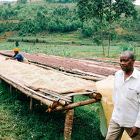 Nkanda Washing Station Cumba #6