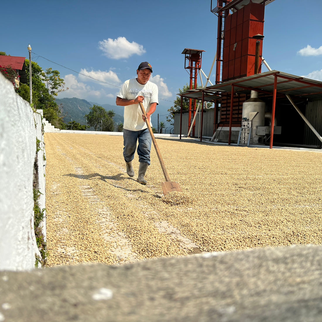 La Providencia Washed