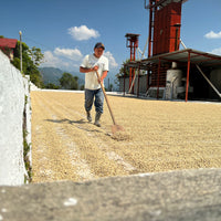 La Providencia Washed