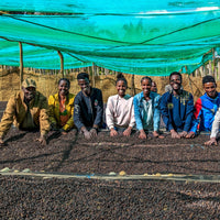 Bekele Belacho White Honey