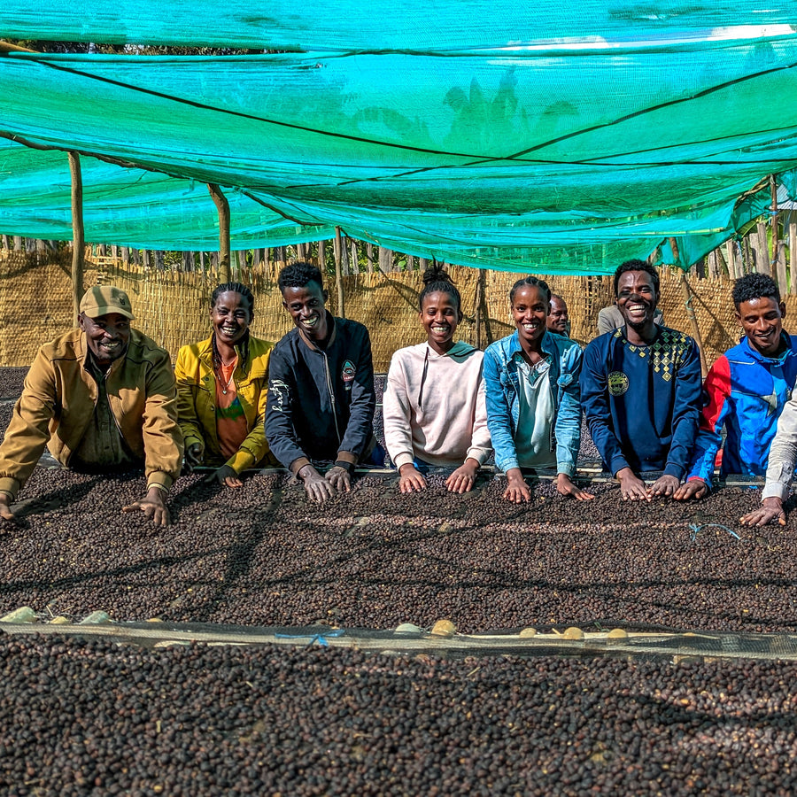 Bekele Belacho White Honey