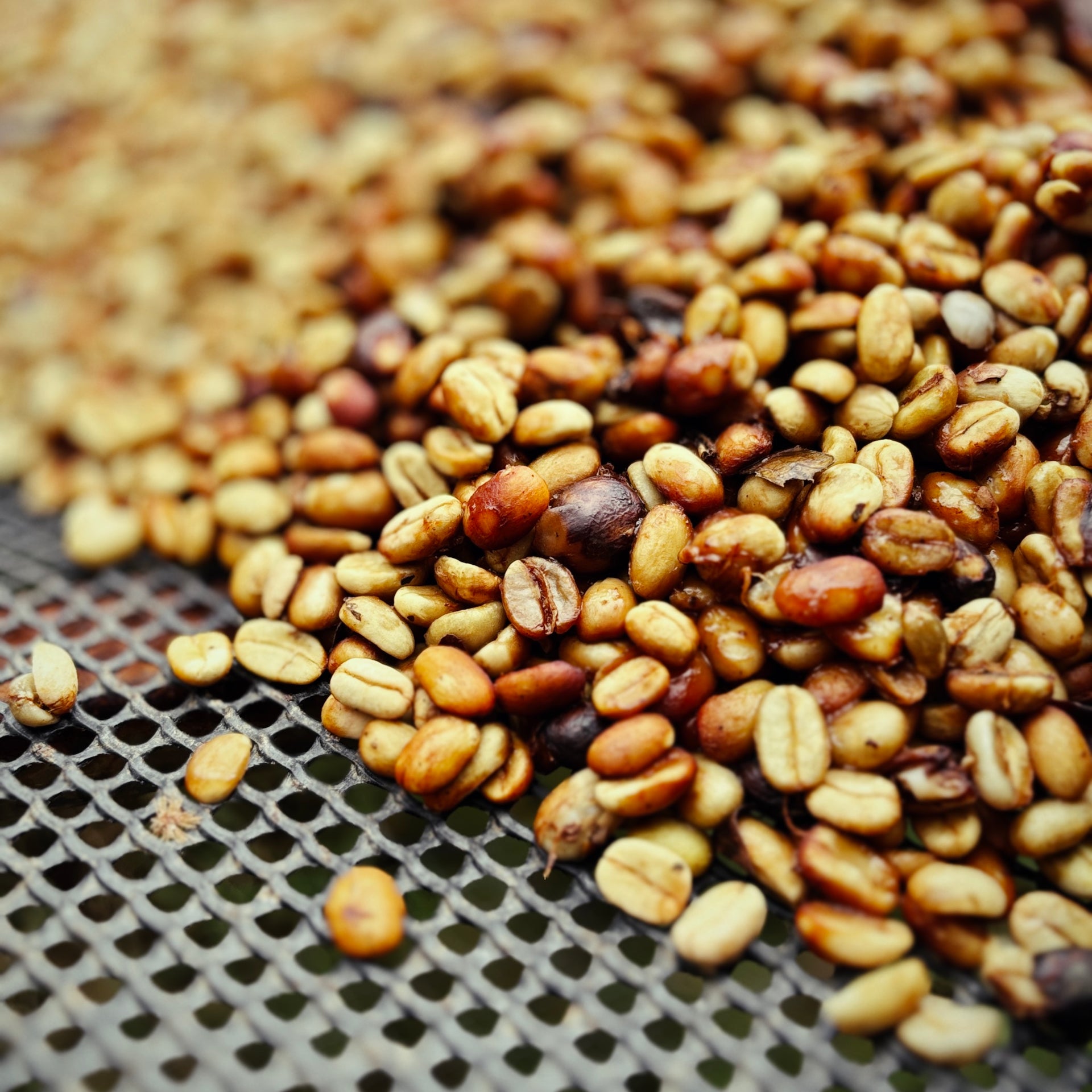 Photo of La Bandera Red Honey Gesha