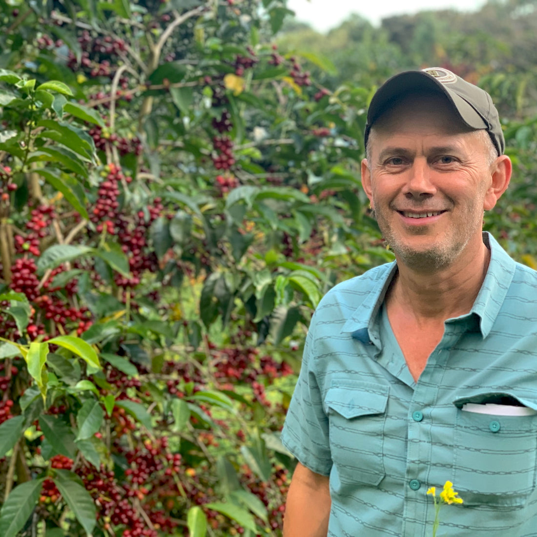 Las Brujas Gesha Natural
