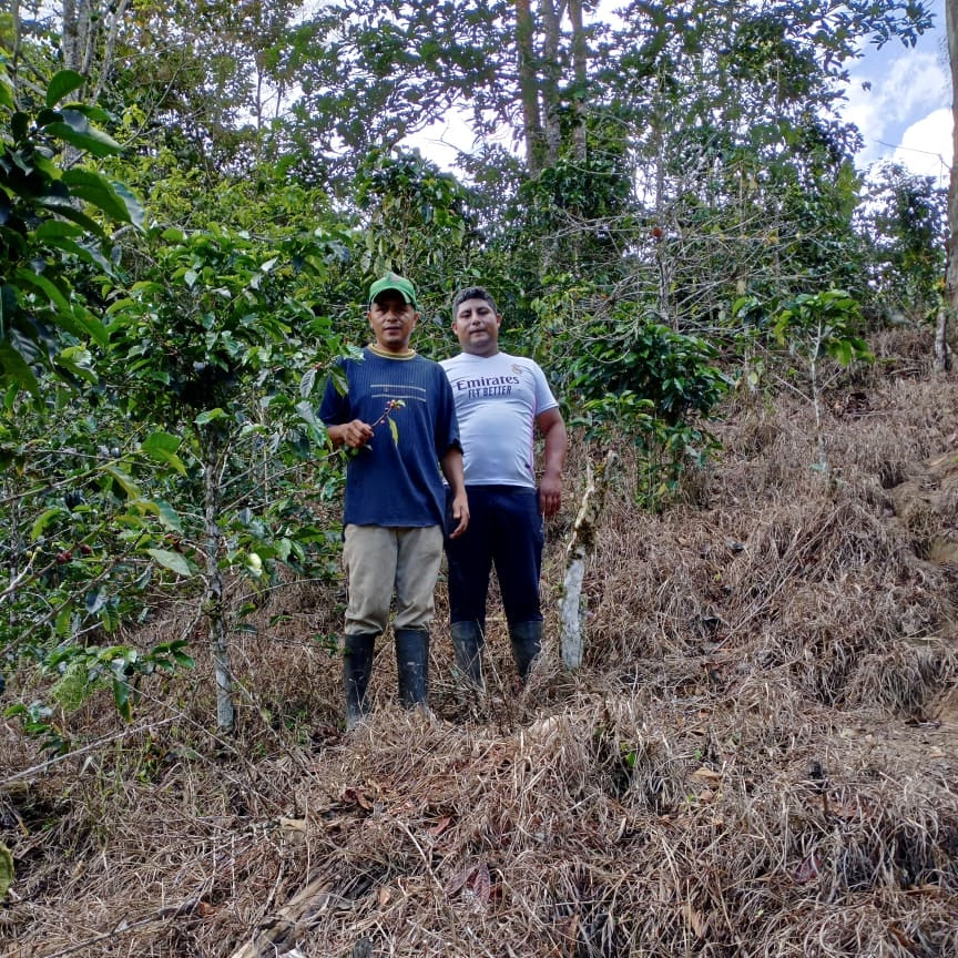 Photo of Finca Palermo AAA Washed