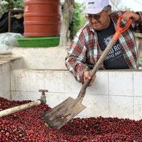 La Lagunita Bourbon Honey