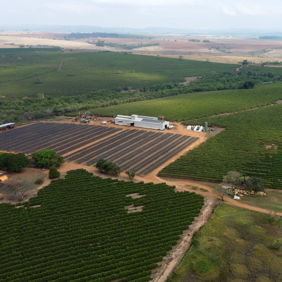 Photo of Terra Alta Natural