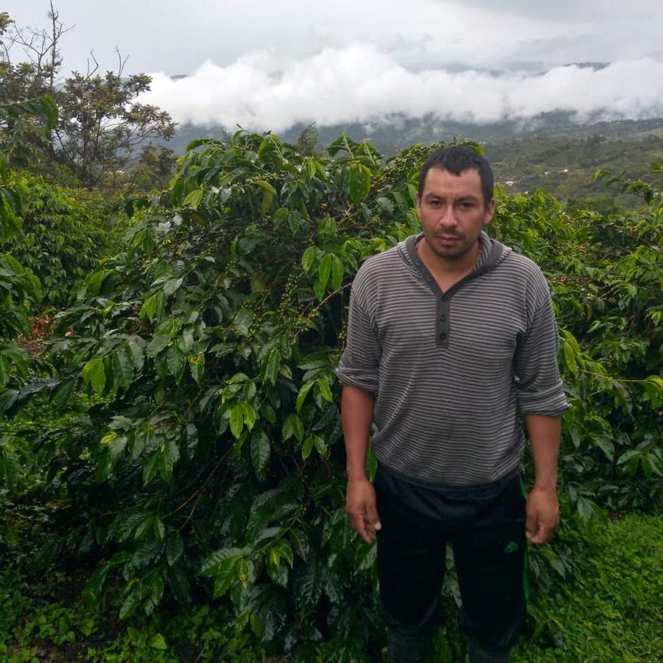 Photo of El Porvenir Tabi Washed