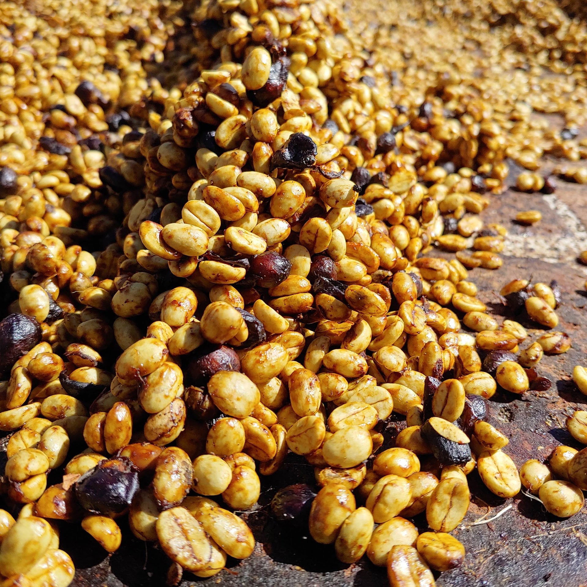 Photo of El Pepinal 2 Bourbon Honey